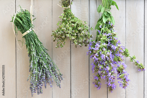 fresh flowering sage, marjoram and lavender hang out to dry in front of a white wooden wall