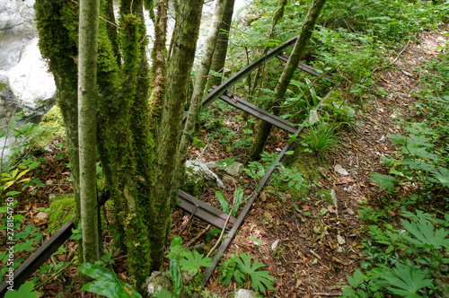 Antica rotaia in mezzo alla natura
