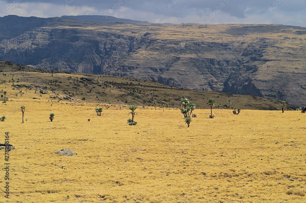 Ethiopia.Mountain Simen National Park. African rift fault. Ethiopia.Mountain Simen National Park. African rift fault.