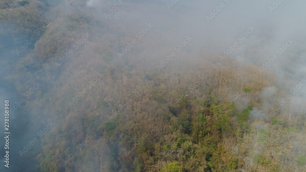 aerial view forest fire smoke on the slopes hills. wild fire in tropical forest, Indonesia. natural disaster fire in Southeast Asia