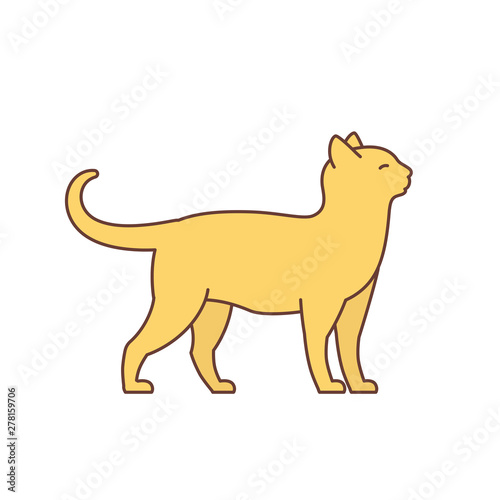 Cat. Adult elegant orange cat. Animal pet. Pussy. Vector illustration.