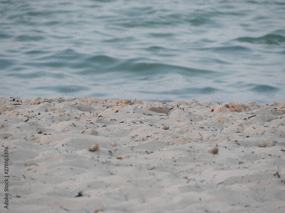 Beautiful sandy and clear water beach, Djerba island, Tunisia