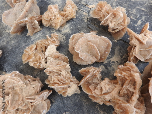 Desert rose. The formations of crystal clusters of gypsum or baryte which include abundant sand grains. Filtered image:cross processed vintage effect.