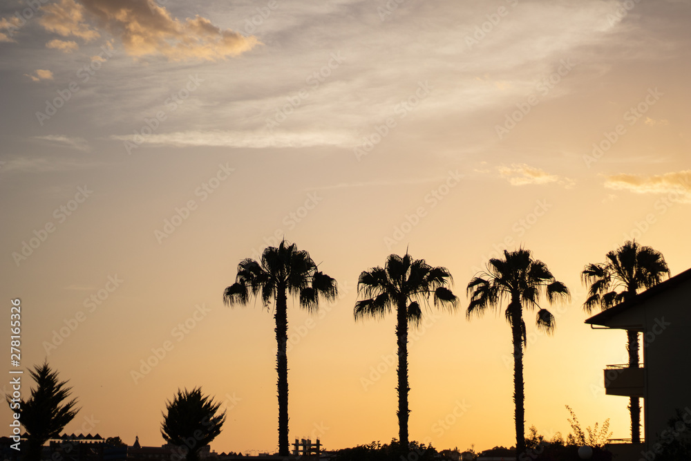 Obraz premium sunset on the beach