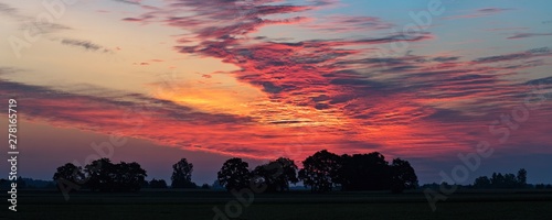Panorama drzew na polu na tle purpurowego pieknego zachodu słońca photo