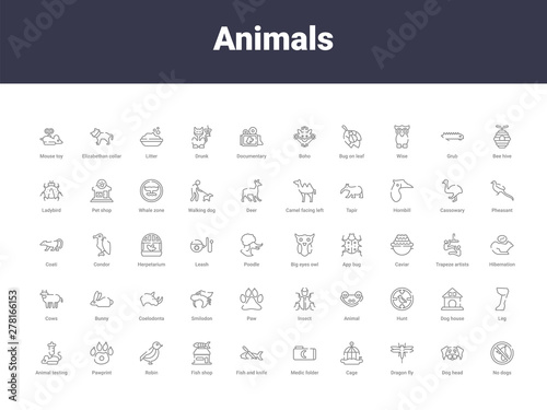 animals outline icons