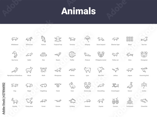 animals outline icons