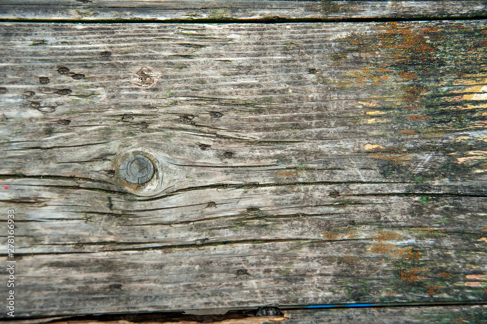photo background of an old tree with a knot in the foreground photo background of an old tree with a knot in the foreground