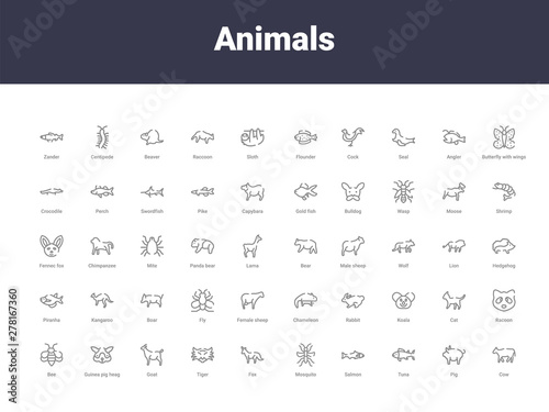 animals outline icons