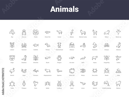 animals outline icons