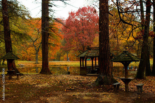 autumn in the park