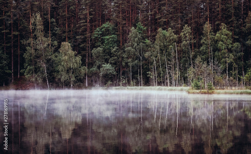 Lake in the fog in the forest morning