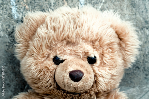 big teddy bear close up © North10
