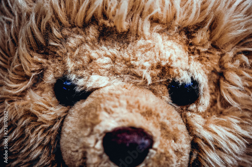 big teddy bear close up