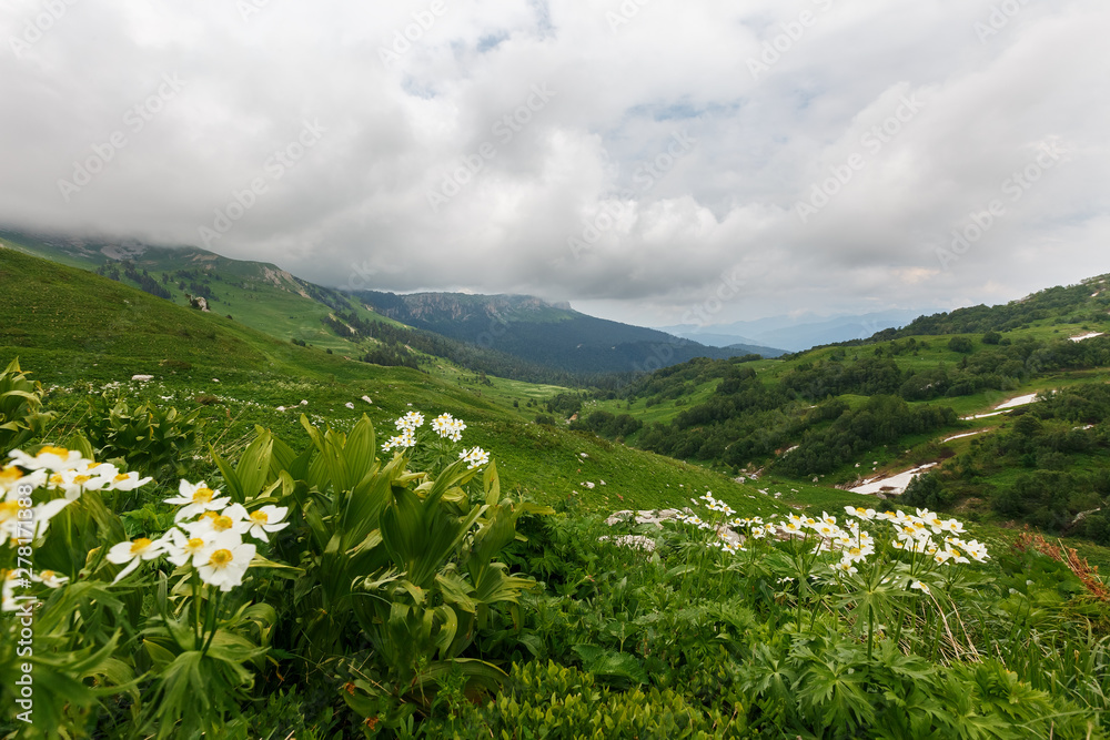 Highlands and green meadows Oshten Fisht in the Caucasus Reserve. Caucasian reserve, mountain, Krasnodar region