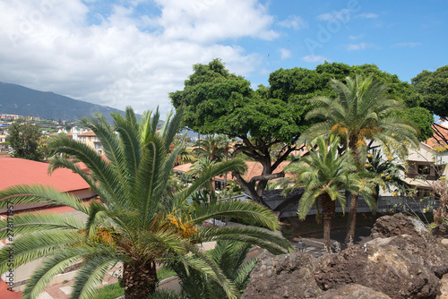 Taoro public garden in Puerto de la Cruz, Tenerife. Canary Islands. Spain.  © Hans Gert Broeder