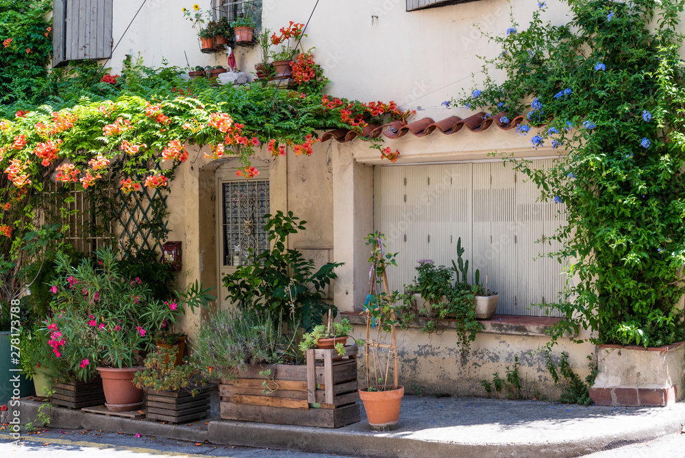 France Provence street, ancient houses with green plant and blooming flowers