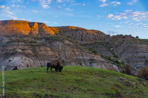 The Rugged Views of Theodore Roosevelt National Park in  Summer 