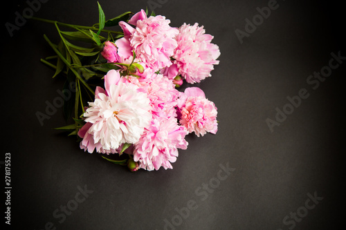 bouquet of blooming peonies on black background