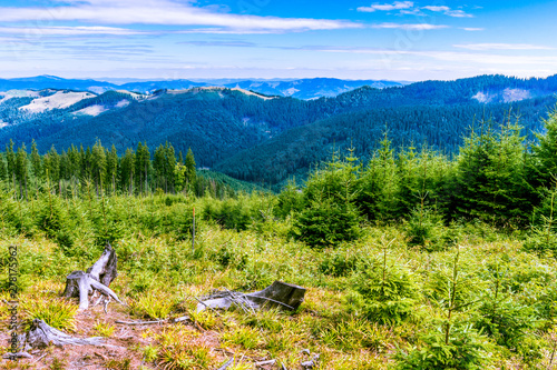 Sunny summer green mountain landscape. photo