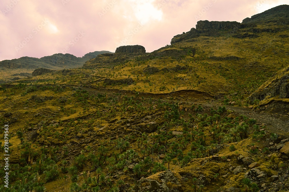 Fototapeta premium Ethiopia.Mountain Simen National Park. African rift fault.