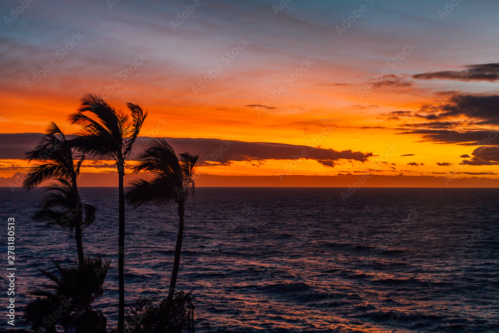 Romantic sunset with palm trees on the north of Tenerife in the Canary Islands