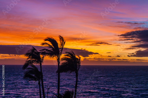 Romantic sunset with palm trees on the north of Tenerife in the Canary Islands