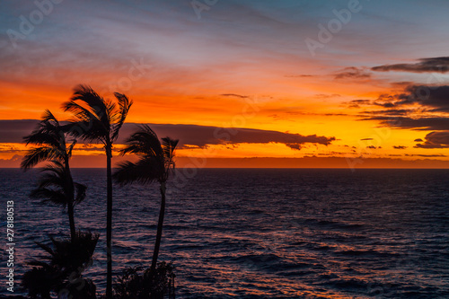 Romantic sunset with palm trees on the north of Tenerife in the Canary Islands
