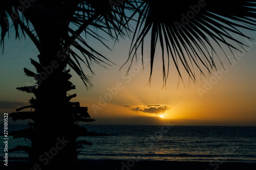 Romantic sunset with palm trees on the north of Tenerife in the Canary Islands