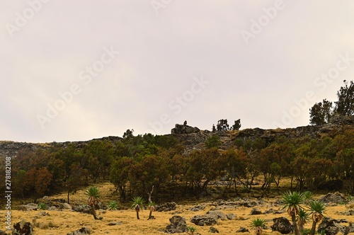 Ethiopia.Mountain Simen National Park. African rift fault. photo