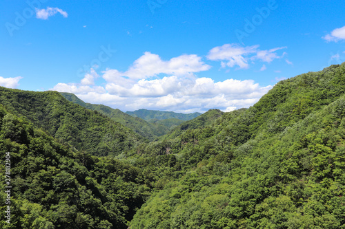 上野ダムからの眺望（群馬県上野村）,ueno dam,ueno village,gunma,japan