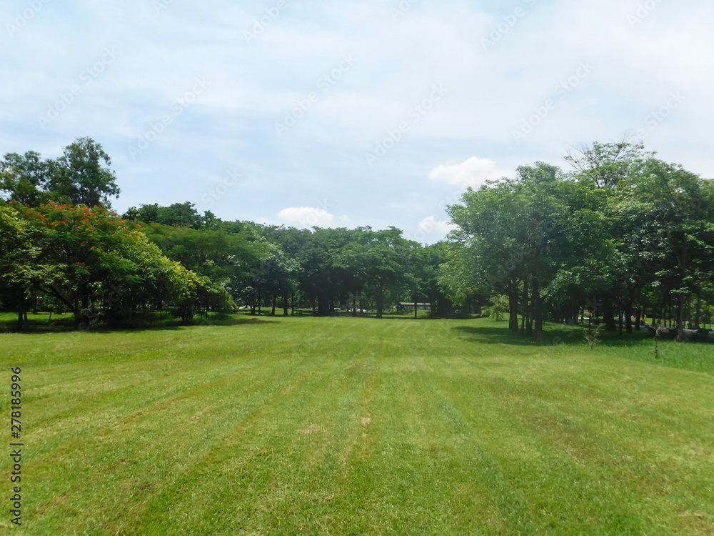 Beautiful view with beautiful green trees Beautiful view with beautiful green trees