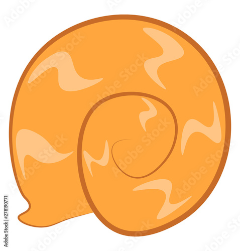 A beautiful snail shell, vector or color illustration.