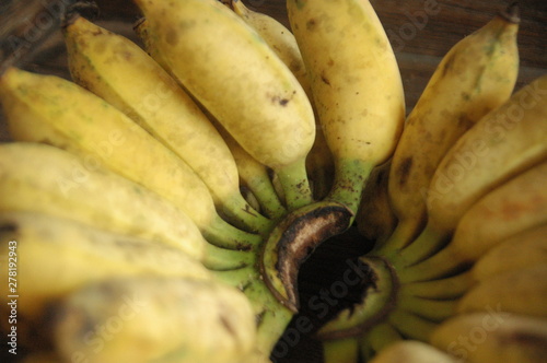 banana yellow color fruit - healthy food - nature photo