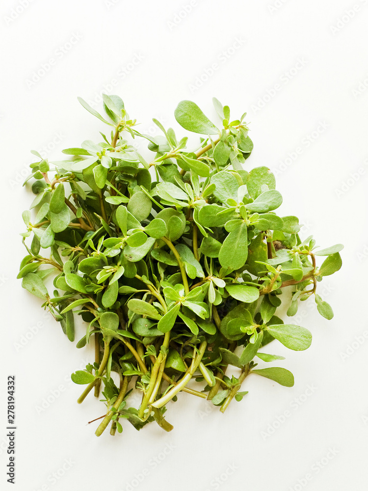 Obraz premium Purslane on white