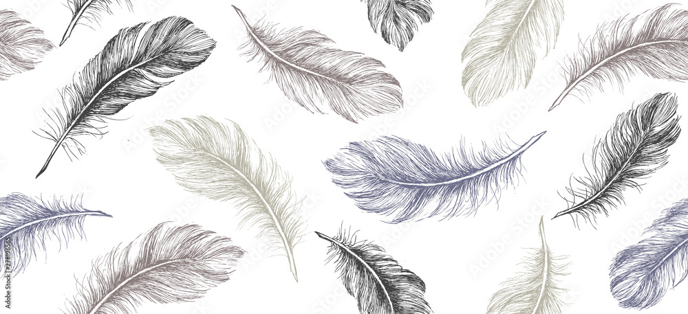 Fototapeta premium Hand draw set of feathers.