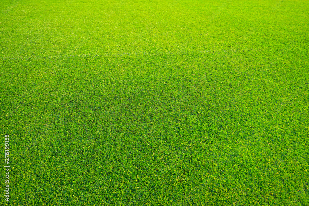 Grass Ozon