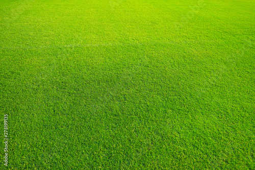 Green lawn for background. Green grass background texture. top view/Background of green grass. The texture of the football field. Texture green lawn © LOVEis