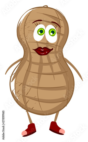 Cute peanut, illustration, vector on white background