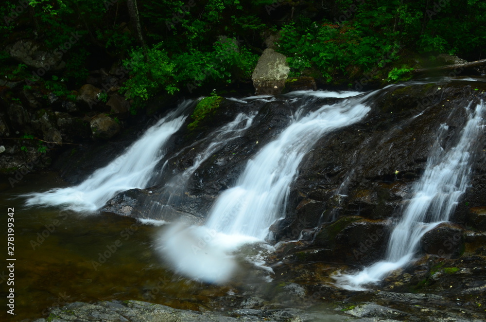 waterfall in forest