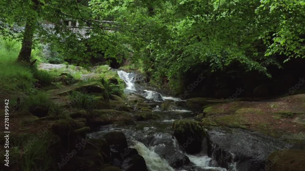 Small waterfall in Wcklow , Ireland, Green forest, moss, rocks Small waterfall in Wcklow , Ireland, Green forest, moss, rocks
