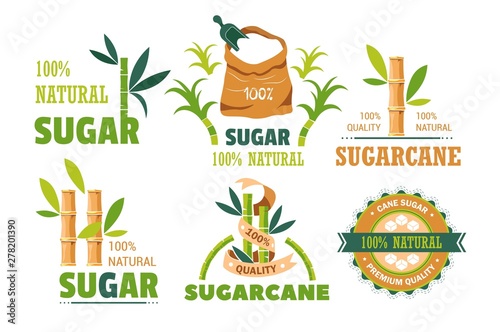 Sugar cane product sweet condiment isolated icons