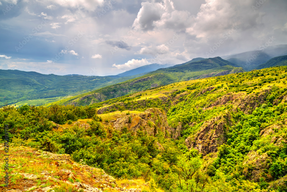 Beautiful summer landscape in the mountain range