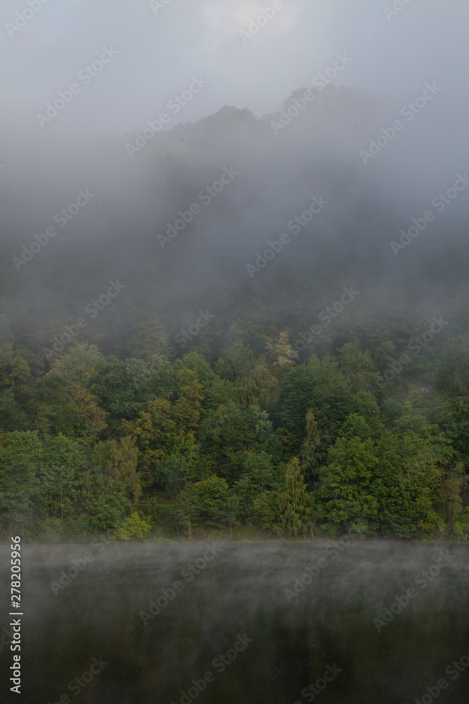 Simmerath Germany Eifel Lake Rur Fog Misty