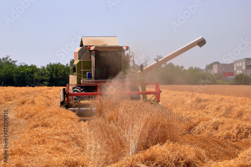 Mietitura e trebbiatura del grano con mietitrebbiatrice 