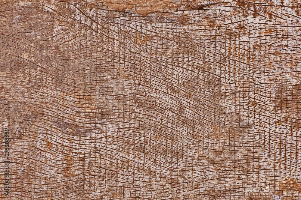 Fototapeta premium Dirty grunge Color and texture of wooden wall background.