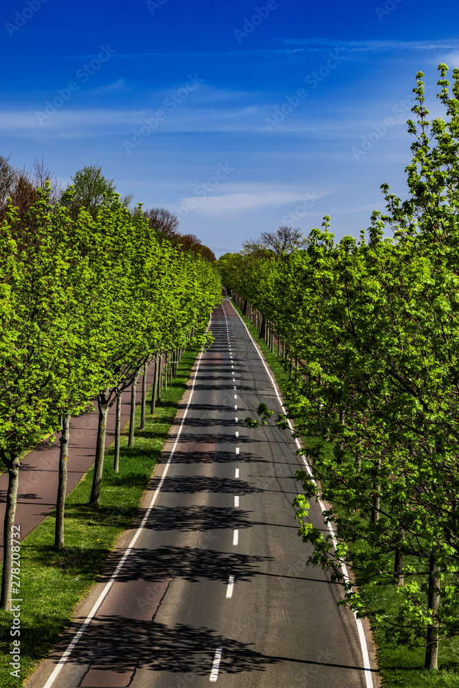 Verlassene Alleestraße