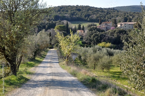 San Gimignano in der Toskana