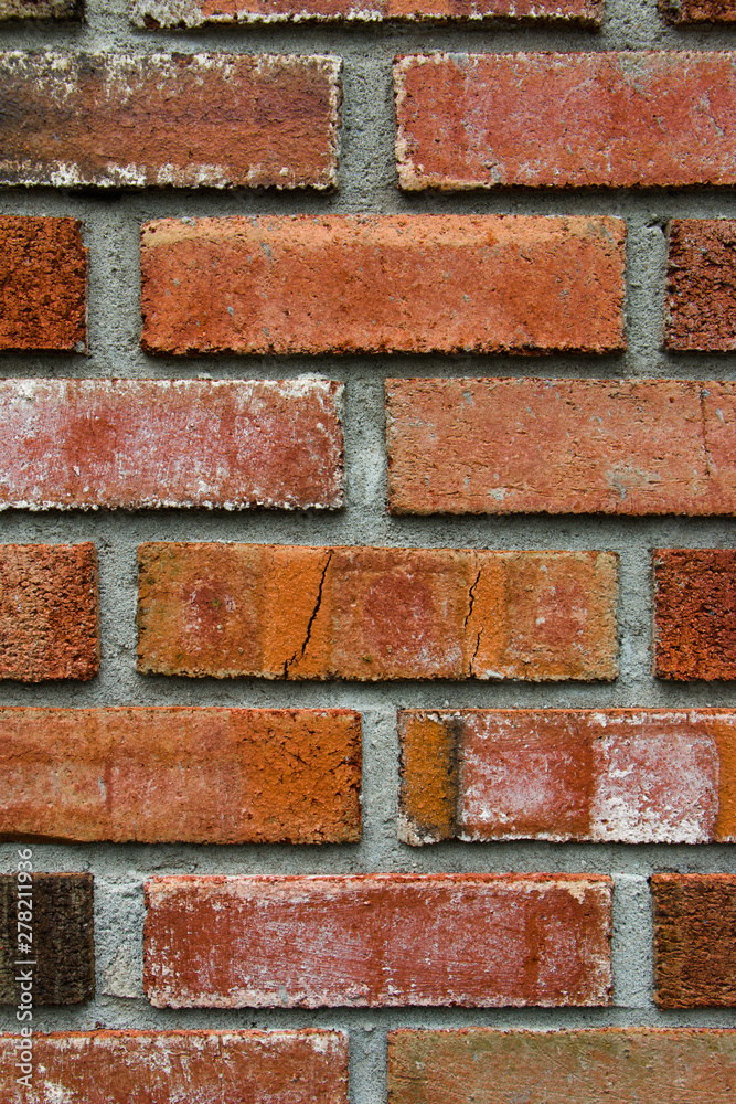 Fototapeta premium Textured Brick wall