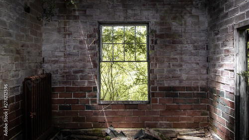 Windowpane © David
